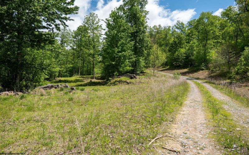 Lot 1 Laurel Mountain Road, Belington, West Virginia 26250, ,Lots/land,For Sale,Laurel Mountain,10165248 Lot 1 Laurel Mountain Road, Belington, West Virginia 26250, ,Lots/land,For Sale,Laurel Mountain,10165248