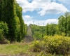Lot 1 Laurel Mountain Road, Belington, West Virginia 26250, ,Lots/land,For Sale,Laurel Mountain,10165248 Lot 1 Laurel Mountain Road, Belington, West Virginia 26250, ,Lots/land,For Sale,Laurel Mountain,10165248