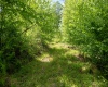 Lot 1 Laurel Mountain Road, Belington, West Virginia 26250, ,Lots/land,For Sale,Laurel Mountain,10165248 Lot 1 Laurel Mountain Road, Belington, West Virginia 26250, ,Lots/land,For Sale,Laurel Mountain,10165248