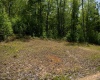 Lot 1 Laurel Mountain Road, Belington, West Virginia 26250, ,Lots/land,For Sale,Laurel Mountain,10165248 Lot 1 Laurel Mountain Road, Belington, West Virginia 26250, ,Lots/land,For Sale,Laurel Mountain,10165248