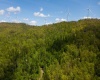 Lot 1 Laurel Mountain Road, Belington, West Virginia 26250, ,Lots/land,For Sale,Laurel Mountain,10165248 Lot 1 Laurel Mountain Road, Belington, West Virginia 26250, ,Lots/land,For Sale,Laurel Mountain,10165248