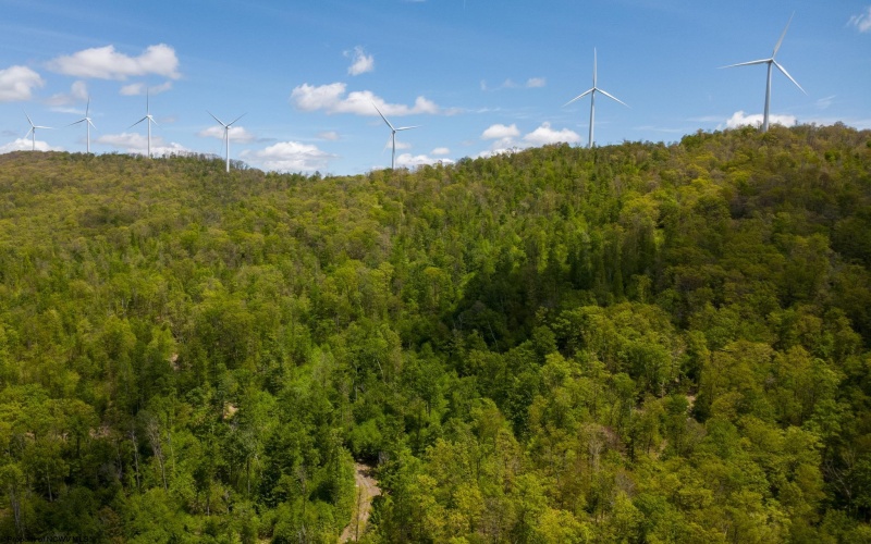 Lot 1 Laurel Mountain Road, Belington, West Virginia 26250, ,Lots/land,For Sale,Laurel Mountain,10165248 Lot 1 Laurel Mountain Road, Belington, West Virginia 26250, ,Lots/land,For Sale,Laurel Mountain,10165248
