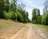 Lot 1 Laurel Mountain Road, Belington, West Virginia 26250, ,Lots/land,For Sale,Laurel Mountain,10165248 Lot 1 Laurel Mountain Road, Belington, West Virginia 26250, ,Lots/land,For Sale,Laurel Mountain,10165248