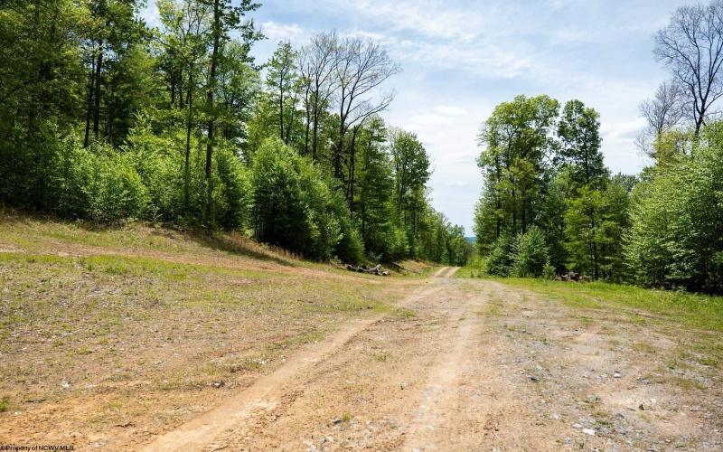Lot 1 Laurel Mountain Road, Belington, West Virginia 26250, ,Lots/land,For Sale,Laurel Mountain,10165248 Lot 1 Laurel Mountain Road, Belington, West Virginia 26250, ,Lots/land,For Sale,Laurel Mountain,10165248