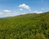 Lot 1 Laurel Mountain Road, Belington, West Virginia 26250, ,Lots/land,For Sale,Laurel Mountain,10165248 Lot 1 Laurel Mountain Road, Belington, West Virginia 26250, ,Lots/land,For Sale,Laurel Mountain,10165248