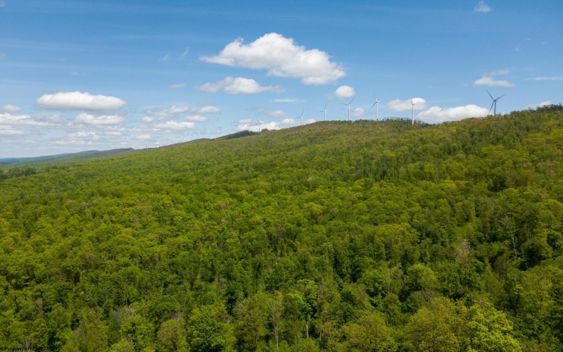 Lot 1 Laurel Mountain Road, Belington, West Virginia 26250, ,Lots/land,For Sale,Laurel Mountain,10165248 Lot 1 Laurel Mountain Road, Belington, West Virginia 26250, ,Lots/land,For Sale,Laurel Mountain,10165248