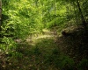 Lot 1 Laurel Mountain Road, Belington, West Virginia 26250, ,Lots/land,For Sale,Laurel Mountain,10165248 Lot 1 Laurel Mountain Road, Belington, West Virginia 26250, ,Lots/land,For Sale,Laurel Mountain,10165248