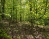 Lot 1 Laurel Mountain Road, Belington, West Virginia 26250, ,Lots/land,For Sale,Laurel Mountain,10165248 Lot 1 Laurel Mountain Road, Belington, West Virginia 26250, ,Lots/land,For Sale,Laurel Mountain,10165248