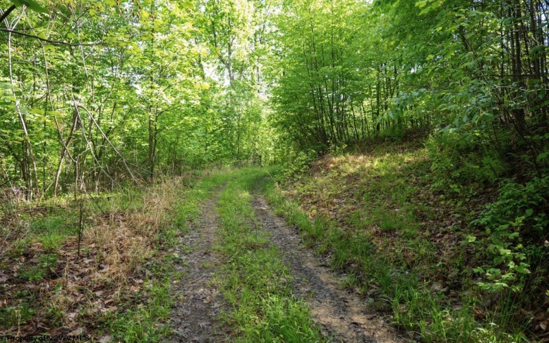 Lot 1 Laurel Mountain Road, Belington, West Virginia 26250, ,Lots/land,For Sale,Laurel Mountain,10165248 Lot 1 Laurel Mountain Road, Belington, West Virginia 26250, ,Lots/land,For Sale,Laurel Mountain,10165248