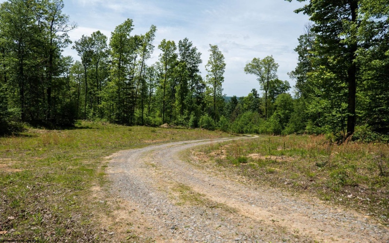 Lot 1 Laurel Mountain Road, Belington, West Virginia 26250, ,Lots/land,For Sale,Laurel Mountain,10165248 Lot 1 Laurel Mountain Road, Belington, West Virginia 26250, ,Lots/land,For Sale,Laurel Mountain,10165248