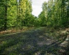 Lot 1 Laurel Mountain Road, Belington, West Virginia 26250, ,Lots/land,For Sale,Laurel Mountain,10165248 Lot 1 Laurel Mountain Road, Belington, West Virginia 26250, ,Lots/land,For Sale,Laurel Mountain,10165248