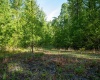 Lot 1 Laurel Mountain Road, Belington, West Virginia 26250, ,Lots/land,For Sale,Laurel Mountain,10165248 Lot 1 Laurel Mountain Road, Belington, West Virginia 26250, ,Lots/land,For Sale,Laurel Mountain,10165248