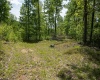 Lot 1 Laurel Mountain Road, Belington, West Virginia 26250, ,Lots/land,For Sale,Laurel Mountain,10165248 Lot 1 Laurel Mountain Road, Belington, West Virginia 26250, ,Lots/land,For Sale,Laurel Mountain,10165248