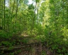 Lot 1 Laurel Mountain Road, Belington, West Virginia 26250, ,Lots/land,For Sale,Laurel Mountain,10165248 Lot 1 Laurel Mountain Road, Belington, West Virginia 26250, ,Lots/land,For Sale,Laurel Mountain,10165248