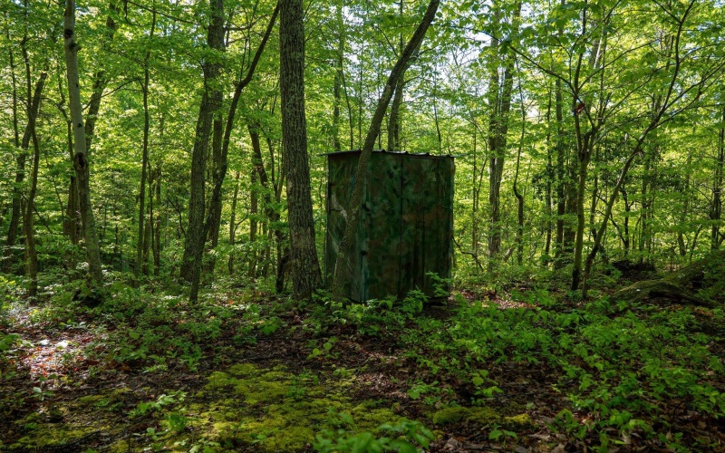 Lot 1 Laurel Mountain Road, Belington, West Virginia 26250, ,Lots/land,For Sale,Laurel Mountain,10165248 Lot 1 Laurel Mountain Road, Belington, West Virginia 26250, ,Lots/land,For Sale,Laurel Mountain,10165248