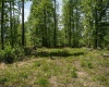 Lot 1 Laurel Mountain Road, Belington, West Virginia 26250, ,Lots/land,For Sale,Laurel Mountain,10165248 Lot 1 Laurel Mountain Road, Belington, West Virginia 26250, ,Lots/land,For Sale,Laurel Mountain,10165248
