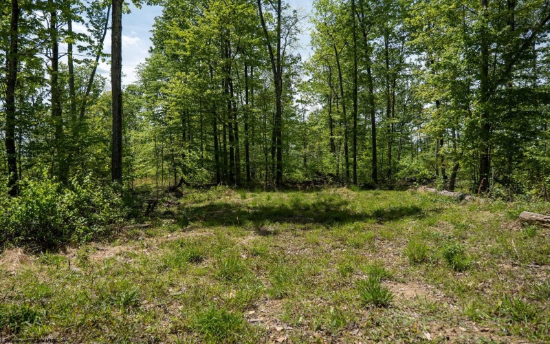 Lot 1 Laurel Mountain Road, Belington, West Virginia 26250, ,Lots/land,For Sale,Laurel Mountain,10165248 Lot 1 Laurel Mountain Road, Belington, West Virginia 26250, ,Lots/land,For Sale,Laurel Mountain,10165248