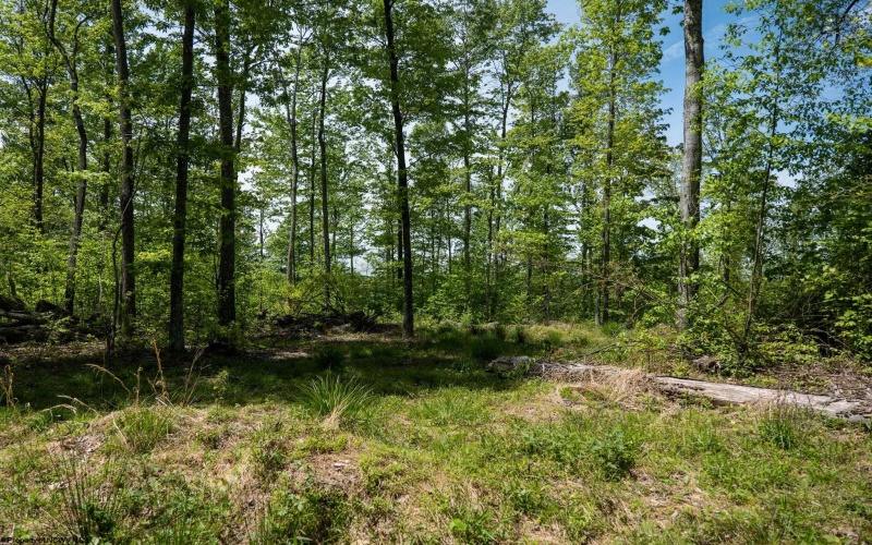Lot 1 Laurel Mountain Road, Belington, West Virginia 26250, ,Lots/land,For Sale,Laurel Mountain,10165248 Lot 1 Laurel Mountain Road, Belington, West Virginia 26250, ,Lots/land,For Sale,Laurel Mountain,10165248