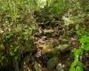 Lot 1 Laurel Mountain Road, Belington, West Virginia 26250, ,Lots/land,For Sale,Laurel Mountain,10165248 Lot 1 Laurel Mountain Road, Belington, West Virginia 26250, ,Lots/land,For Sale,Laurel Mountain,10165248