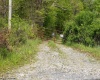 Lot 1 Laurel Mountain Road, Belington, West Virginia 26250, ,Lots/land,For Sale,Laurel Mountain,10165248 Lot 1 Laurel Mountain Road, Belington, West Virginia 26250, ,Lots/land,For Sale,Laurel Mountain,10165248