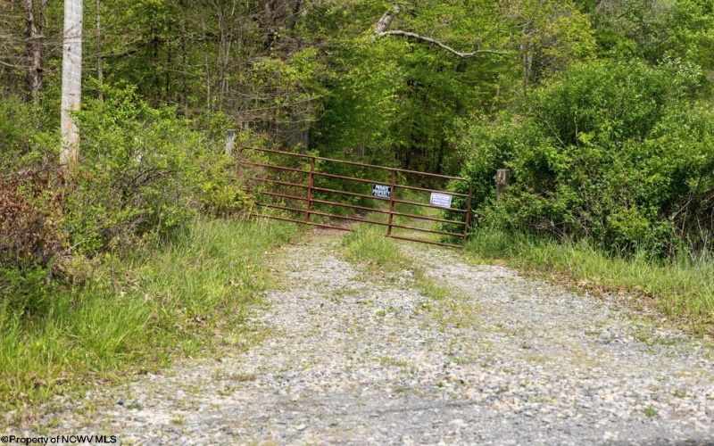 Lot 1 Laurel Mountain Road, Belington, West Virginia 26250, ,Lots/land,For Sale,Laurel Mountain,10165248 Lot 1 Laurel Mountain Road, Belington, West Virginia 26250, ,Lots/land,For Sale,Laurel Mountain,10165248