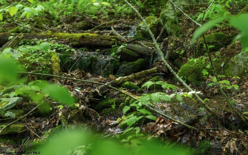 Lot 1 Laurel Mountain Road, Belington, West Virginia 26250, ,Lots/land,For Sale,Laurel Mountain,10165248 Lot 1 Laurel Mountain Road, Belington, West Virginia 26250, ,Lots/land,For Sale,Laurel Mountain,10165248
