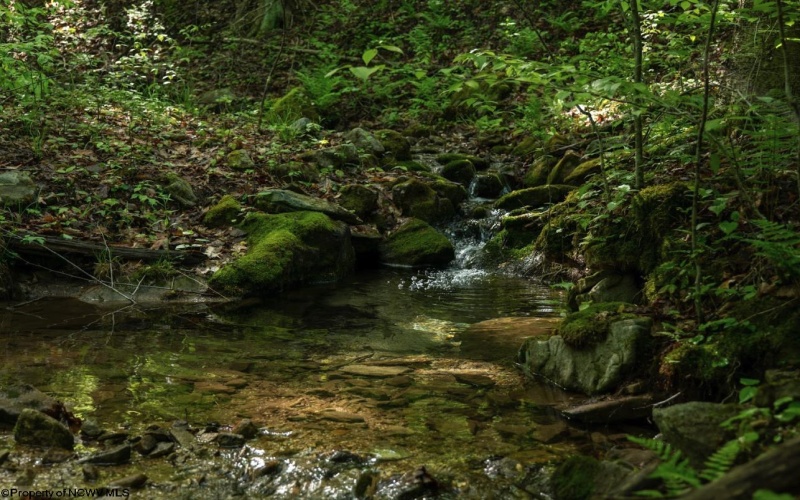 Lot 1 Laurel Mountain Road, Belington, West Virginia 26250, ,Lots/land,For Sale,Laurel Mountain,10165248 Lot 1 Laurel Mountain Road, Belington, West Virginia 26250, ,Lots/land,For Sale,Laurel Mountain,10165248