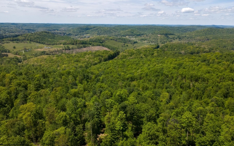 Lot 1 Laurel Mountain Road, Belington, West Virginia 26250, ,Lots/land,For Sale,Laurel Mountain,10165248 Lot 1 Laurel Mountain Road, Belington, West Virginia 26250, ,Lots/land,For Sale,Laurel Mountain,10165248