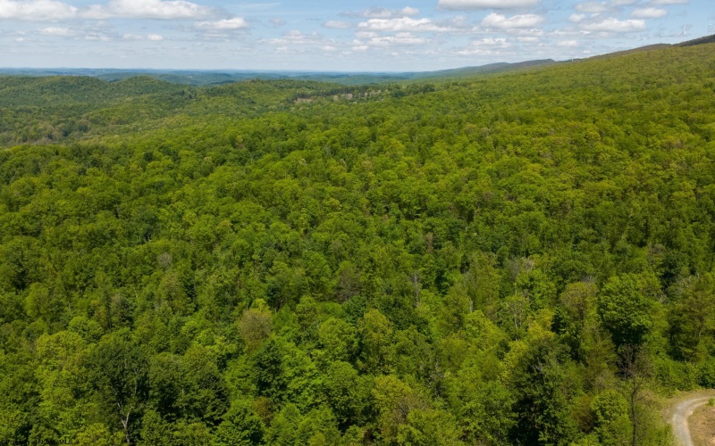 Lot 1 Laurel Mountain Road, Belington, West Virginia 26250, ,Lots/land,For Sale,Laurel Mountain,10165248 Lot 1 Laurel Mountain Road, Belington, West Virginia 26250, ,Lots/land,For Sale,Laurel Mountain,10165248