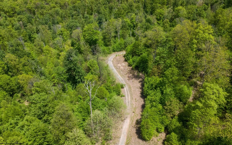Lot 1 Laurel Mountain Road, Belington, West Virginia 26250, ,Lots/land,For Sale,Laurel Mountain,10165248 Lot 1 Laurel Mountain Road, Belington, West Virginia 26250, ,Lots/land,For Sale,Laurel Mountain,10165248