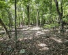 Lot 23 Long Lick Run Road, Baker, West Virginia 26801, ,Lots/land,For Sale,Long Lick Run,10165249