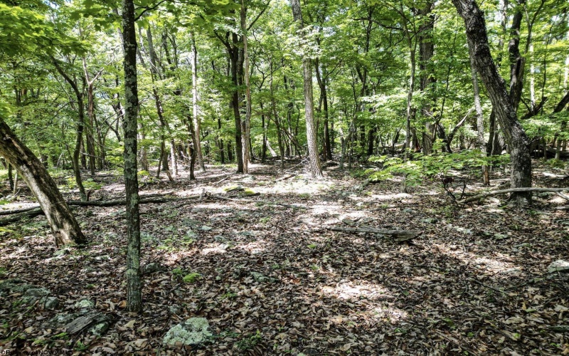 Lot 23 Long Lick Run Road, Baker, West Virginia 26801, ,Lots/land,For Sale,Long Lick Run,10165249
