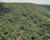 Lot 23 Long Lick Run Road, Baker, West Virginia 26801, ,Lots/land,For Sale,Long Lick Run,10165249