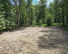 Lot 23 Long Lick Run Road, Baker, West Virginia 26801, ,Lots/land,For Sale,Long Lick Run,10165249