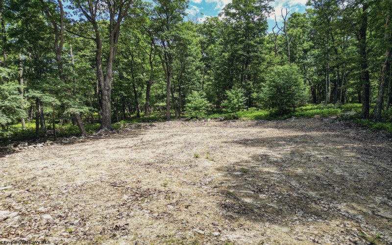 Lot 23 Long Lick Run Road, Baker, West Virginia 26801, ,Lots/land,For Sale,Long Lick Run,10165249