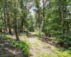 Lot 23 Long Lick Run Road, Baker, West Virginia 26801, ,Lots/land,For Sale,Long Lick Run,10165249