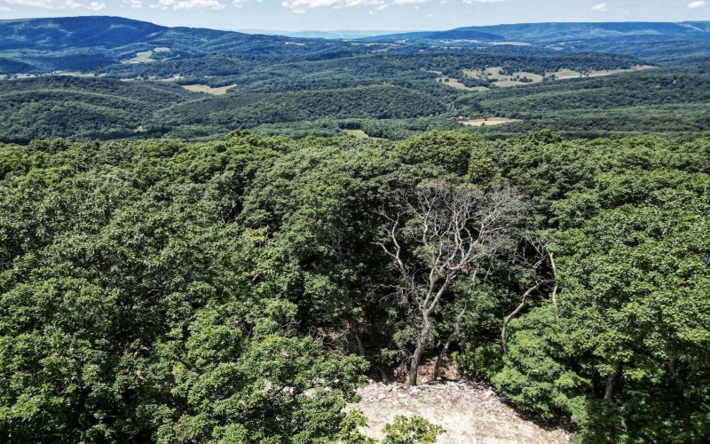 Lot 23 Long Lick Run Road, Baker, West Virginia 26801, ,Lots/land,For Sale,Long Lick Run,10165249