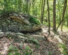 Lot 23 Long Lick Run Road, Baker, West Virginia 26801, ,Lots/land,For Sale,Long Lick Run,10165249