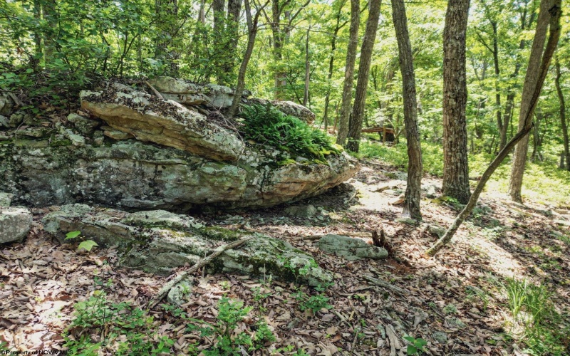 Lot 23 Long Lick Run Road, Baker, West Virginia 26801, ,Lots/land,For Sale,Long Lick Run,10165249
