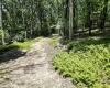 Lot 23 Long Lick Run Road, Baker, West Virginia 26801, ,Lots/land,For Sale,Long Lick Run,10165249