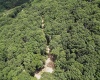 Lot 23 Long Lick Run Road, Baker, West Virginia 26801, ,Lots/land,For Sale,Long Lick Run,10165249