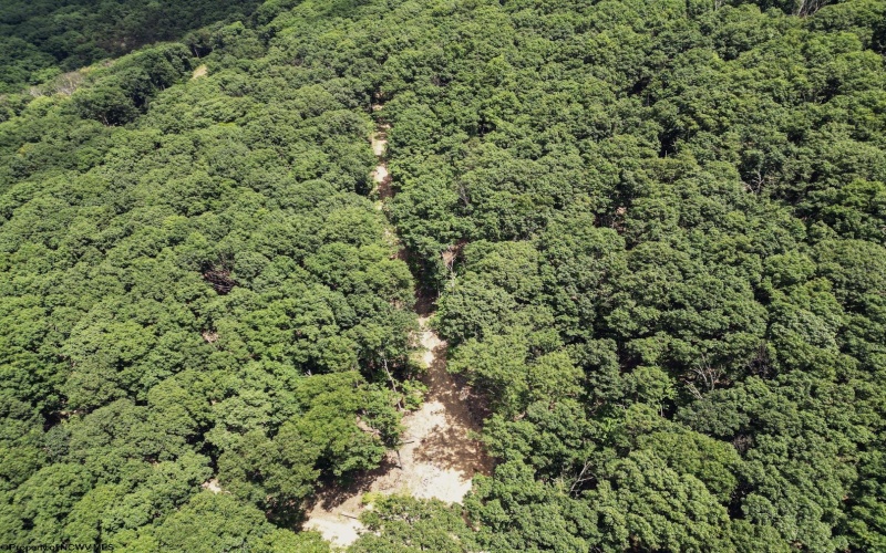 Lot 23 Long Lick Run Road, Baker, West Virginia 26801, ,Lots/land,For Sale,Long Lick Run,10165249