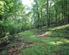 Lot 23 Long Lick Run Road, Baker, West Virginia 26801, ,Lots/land,For Sale,Long Lick Run,10165249