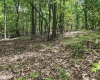 Lot 23 Long Lick Run Road, Baker, West Virginia 26801, ,Lots/land,For Sale,Long Lick Run,10165249