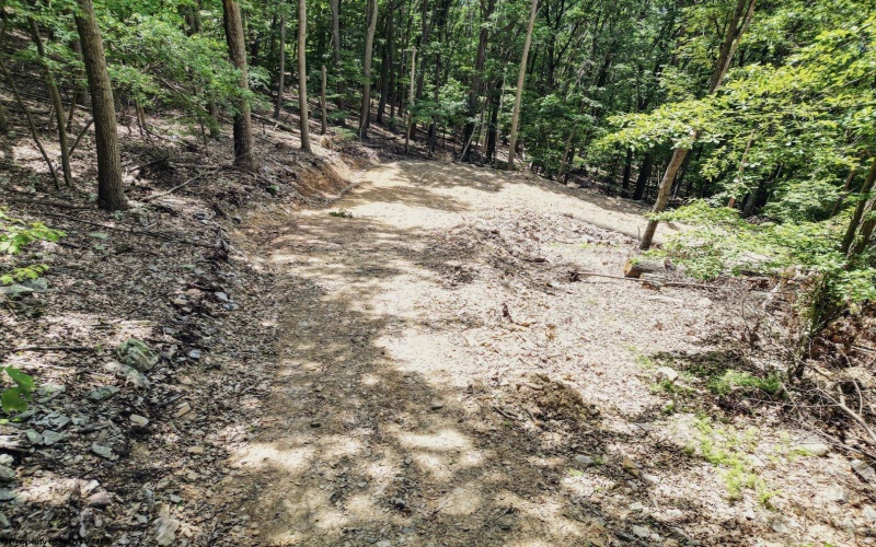 Lot 23 Long Lick Run Road, Baker, West Virginia 26801, ,Lots/land,For Sale,Long Lick Run,10165249