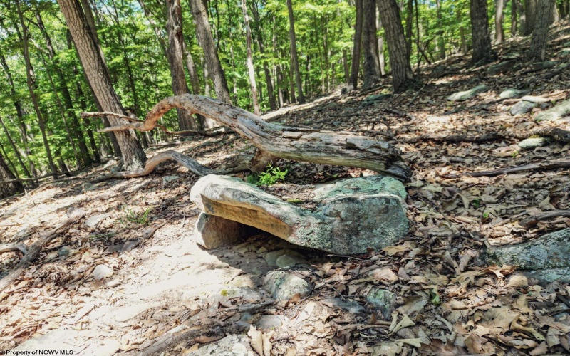 Lot 23 Long Lick Run Road, Baker, West Virginia 26801, ,Lots/land,For Sale,Long Lick Run,10165249