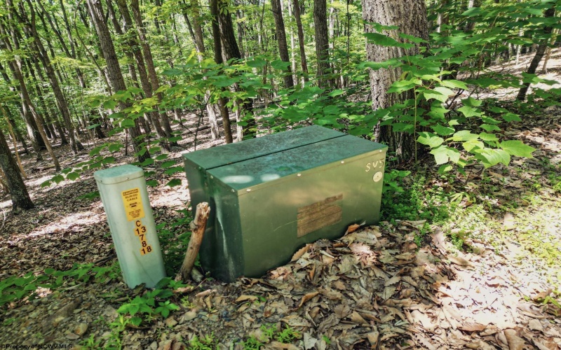 Lot 23 Long Lick Run Road, Baker, West Virginia 26801, ,Lots/land,For Sale,Long Lick Run,10165249