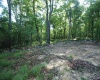Lot 23 Long Lick Run Road, Baker, West Virginia 26801, ,Lots/land,For Sale,Long Lick Run,10165249