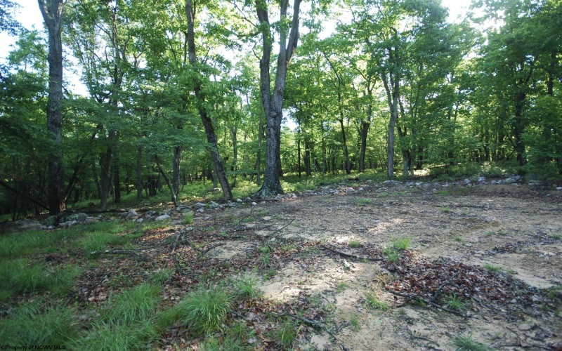 Lot 23 Long Lick Run Road, Baker, West Virginia 26801, ,Lots/land,For Sale,Long Lick Run,10165249