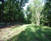 Lot 23 Long Lick Run Road, Baker, West Virginia 26801, ,Lots/land,For Sale,Long Lick Run,10165249